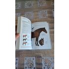 Elwyn Hartley Edwars Lovak - Határozó kézikönyvek - Képes ismertető a világ több mint 100 lófajtájáról