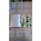 Matthew Healey Mi az a branding?