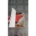 Syrie James Jane Austen naplója
