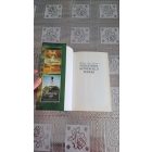 Rebecca Ann Collins Visszatérés Netherfield parkba - Pemberley-krónikák 3. könyv