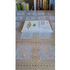 Guy Kawasaki Elmés kezdés - Jól bevált, gyakorlatban kipróbált tanácsok kezdő és újrakezdő vállalkozóknak