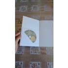 Cseh Katalin Világtalan világosság - Gyerekversek CD melléklettel