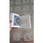 Böjte Csaba A szeretet gyógyszer, nem jutalom