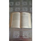 Ann Chamberlin Szafije, a Szultán háremhölgye