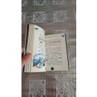 Geronimo Stilton Stiltonix kapitány űrmenyasszonya