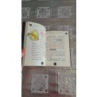 Geronimo Stilton Stiltonix kapitány űrmenyasszonya