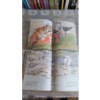 Illusztrált mesék - Hans Christian Andersen
