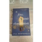 Jill Santopolo A fény, amit elvesztettünk - Két élet Két szerelem Egy választás