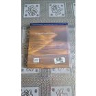 Andrew Ramer - Az angyalok tudják a választ