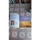 Zebrák (Szórakoztató állatvilág)- Reader's Digest Kisgyermekek könyvtára