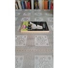 Pippa Funnell Táltos - Váratlan barátság - Tilly lovas történetei 1.