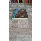Daniel Defoe Deanna McFadden Robinson Crusoe - Klasszikusok könnyedén