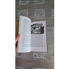 Arkagyij Gajdar Csuk és Gek (Zsiráf könyvek - Zsoldos Vera rajzaival)