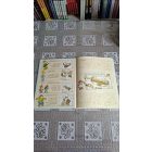 Geronimo Stilton A nagy jégkorszak - Képregény 
