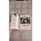 Penny Vincenzi Csábító évek