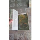 Krumpach Erzsébet A bőség kertje - Konyhakert ásás, kapálás nélkül!