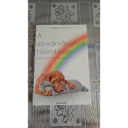 Wallace Sife A szivárványhíd túloldalán