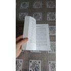 Hámori Eszter A korai kapcsolat zavarai