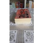 Darren Shan Zom-B sorozat 1-3. (Zom-B, Zom-B Alvilág, Zom-B Város)
