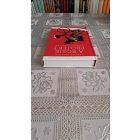 Graeme Simsion A Rosie-projekt