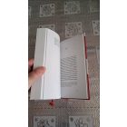 Graeme Simsion A Rosie-projekt