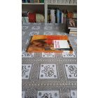 Kardos Lídia Anatómia - élettan
