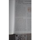 Radnai Márta Odontológia és gnatológia