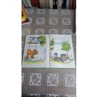 Berényi Nagy Péter Réce, ruca, vadliba