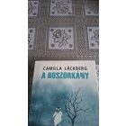 Camilla Läckberg A boszorkány