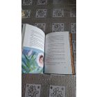 Nagy Boldizsár (szerk.) Meseország mindenkié