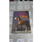 Bernáth István Óh. azok a csodálatos lovak