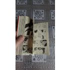 Kisimoto Maszasi Naruto 9.