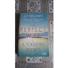 J.P. Delaney The Perfect Wife - A tökéletes feleség