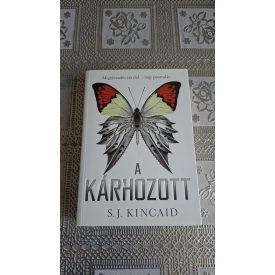 S. J. Kincaid A kárhozott