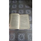Vidra Gabriella A fekete kő titka - A Tudás könyvei 1.