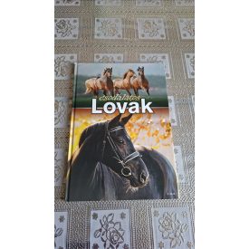 Csodálatos lovak