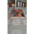 Brian-Donna Gibbs Készítsünk mackót mindenki örömére