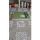 Matthew Healey Mi az a branding? - A design kézikönyvei