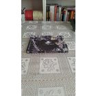 Hideyuki Kikuchi D, a vámpírvadász 2.