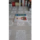 Hársvölgyi Virág Kína (Ázsiai kultúrákról fiataloknak 3.)