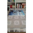 Marco Nazarri Az Északi-sark: Az örök jég birodalma