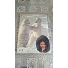 Marco Nazarri Az Északi-sark: Az örök jég birodalma