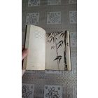 Osho 3 lépésre a felébredéstől