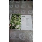 Claudia Ritter Vírusok ellen a gyógynövények erejével