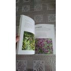 Claudia Ritter Vírusok ellen a gyógynövények erejével