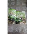 Claudia Ritter Vírusok ellen a gyógynövények erejével