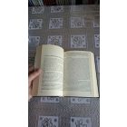 A harmadik birodalom hadviselése - Hitler hadseregének felemelkedése és összeomlása