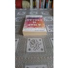 Nicola Yoon A Nap is csillag
