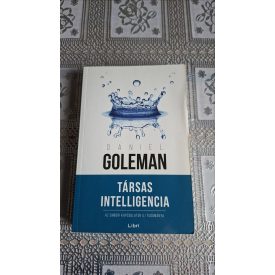   Daniel Goleman Társas Intelligencia - Az emberi kapcsolatok új tudománya