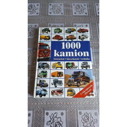 1000 kamion